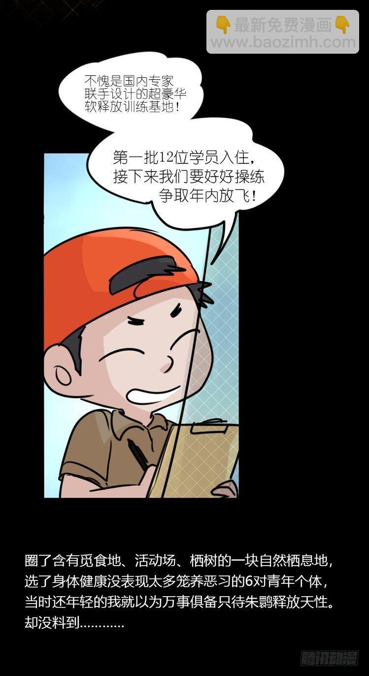 使命篇20：重振绯羽②-第144话