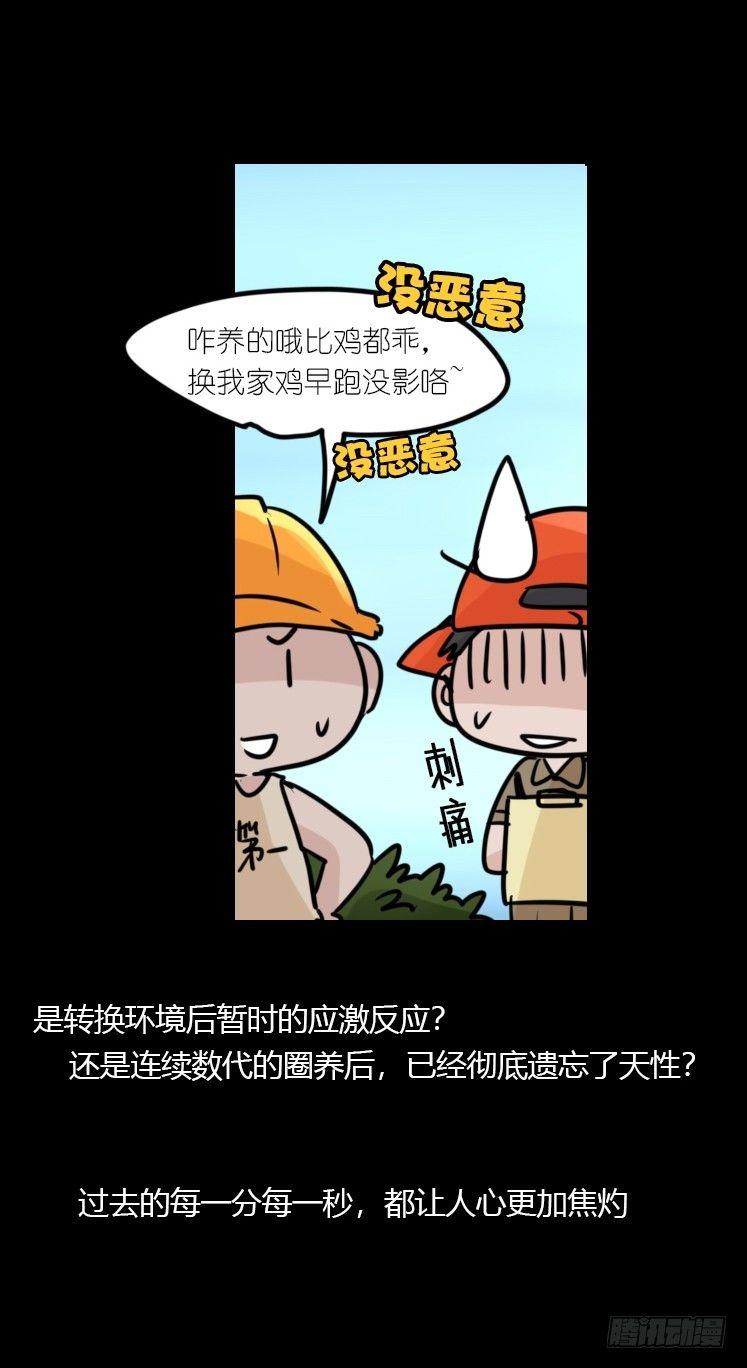 使命篇20：重振绯羽②-第144话