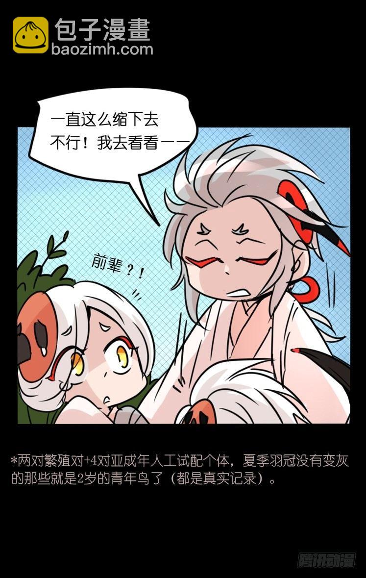 使命篇20：重振绯羽②-第144话