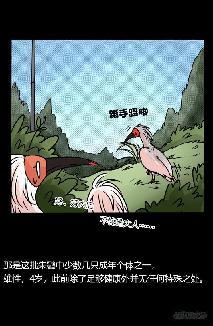 使命篇20：重振绯羽②-第144话