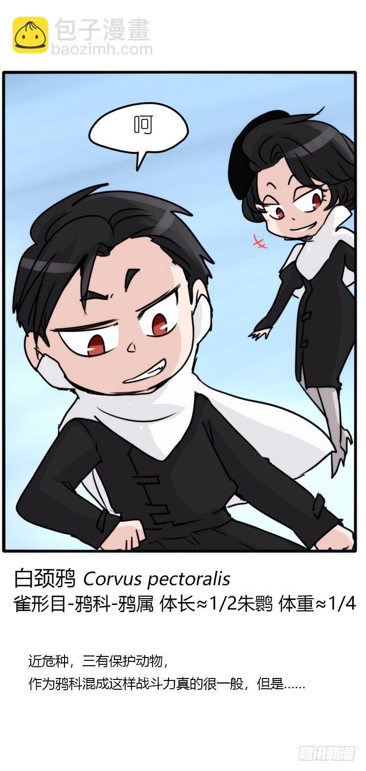 使命篇20：重振绯羽②-第144话