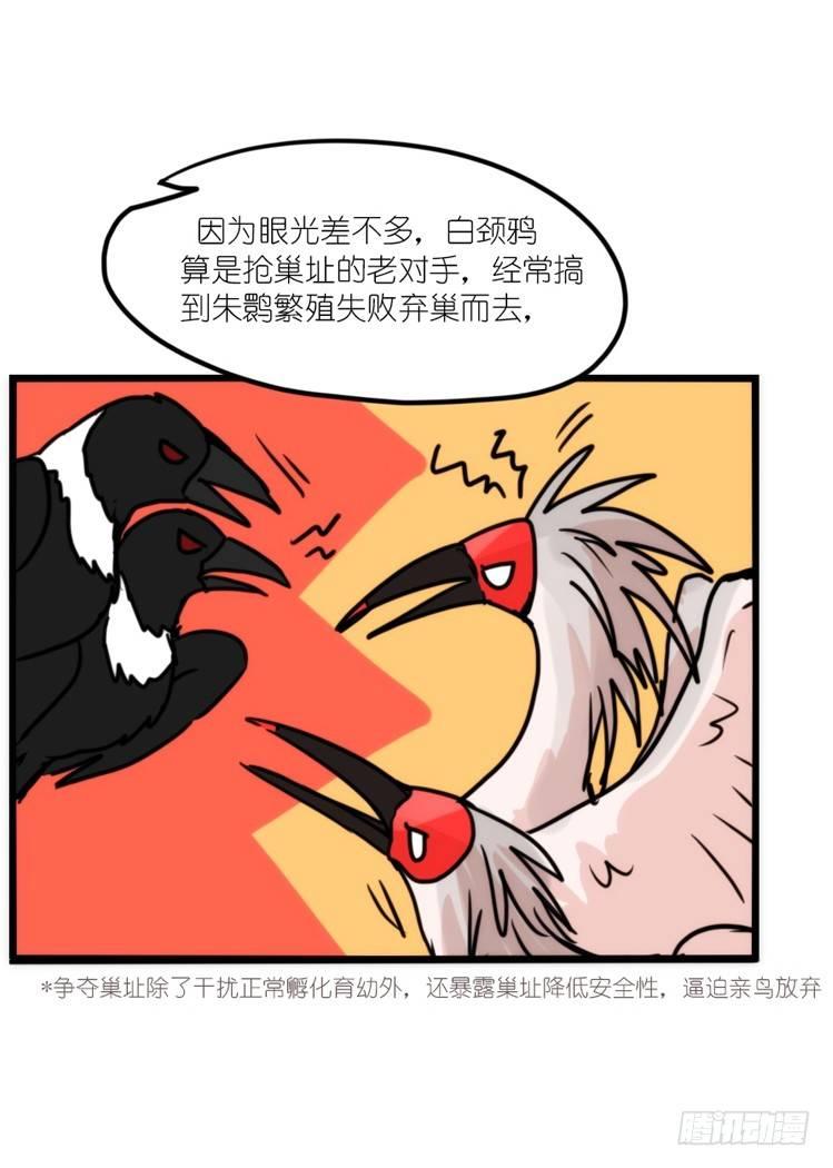 使命篇20：重振绯羽②-第144话