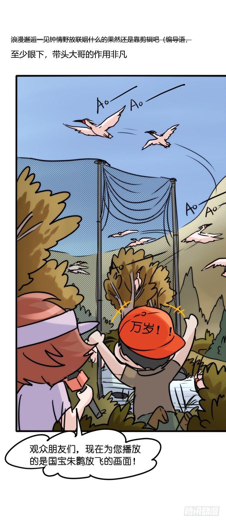 使命篇22：重振绯羽④-第146话
