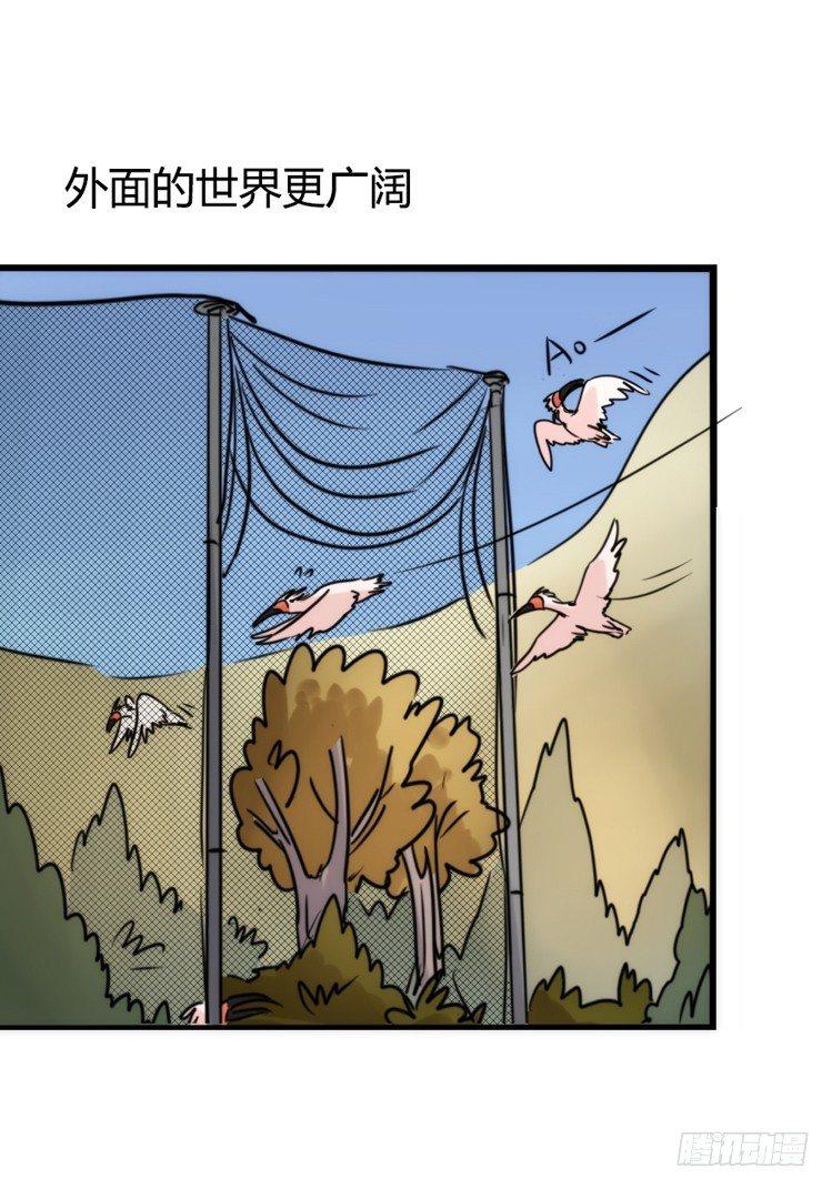 使命篇22：重振绯羽④-第146话
