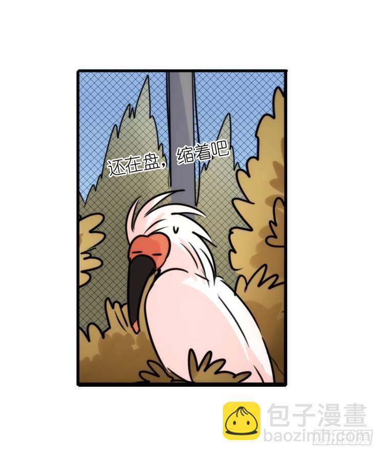 使命篇22：重振绯羽④-第146话