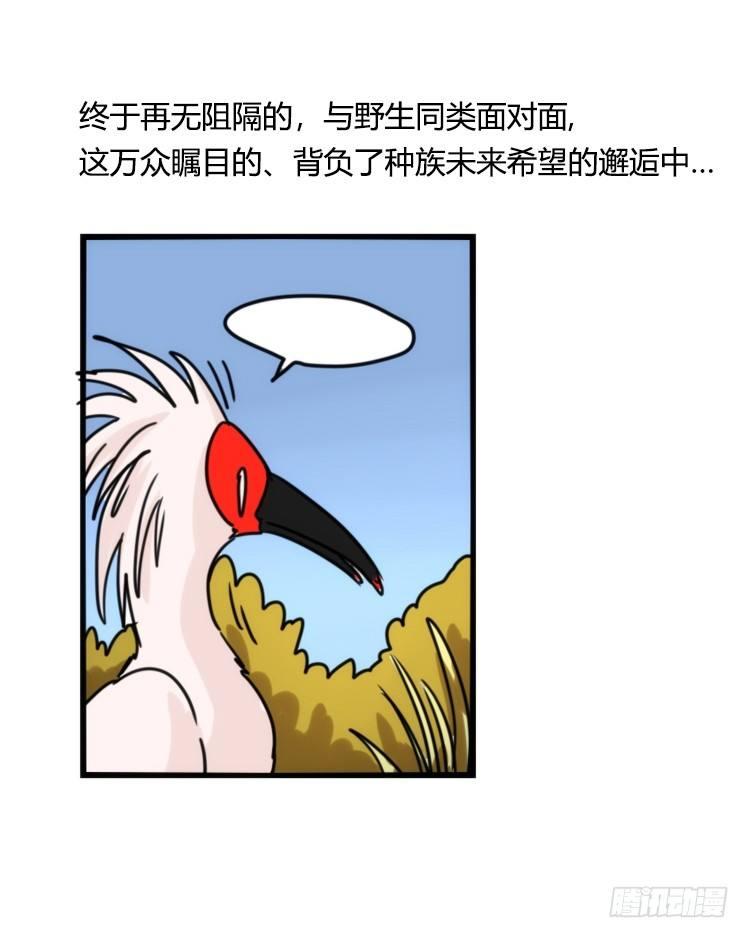 使命篇22：重振绯羽④-第146话