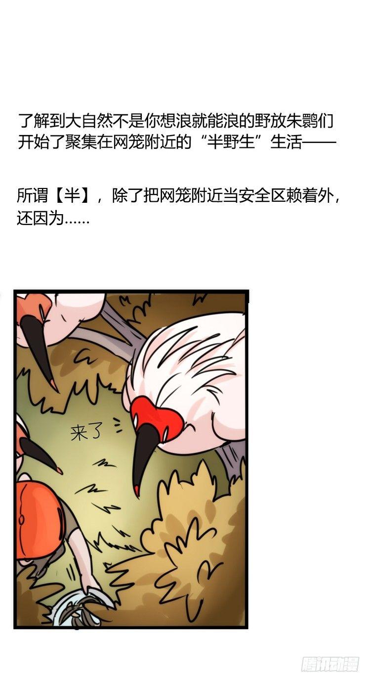 使命篇22：重振绯羽④-第146话