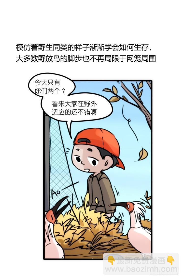 使命篇22：重振绯羽④-第146话