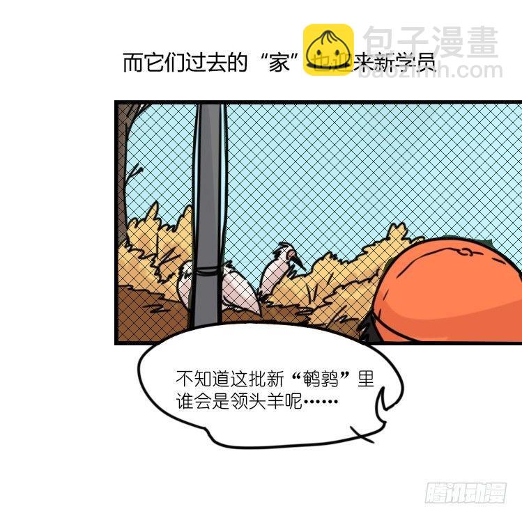 使命篇22：重振绯羽④-第146话