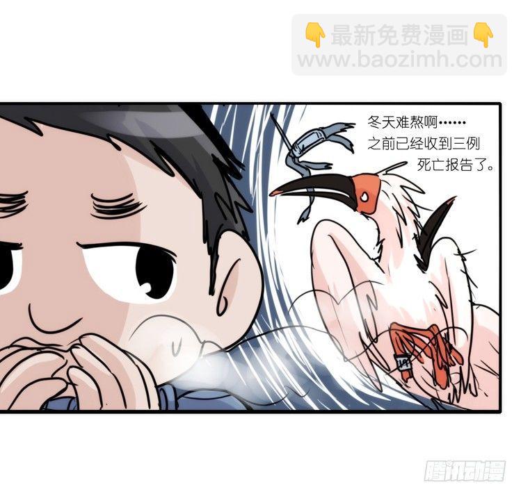使命篇22：重振绯羽④-第146话