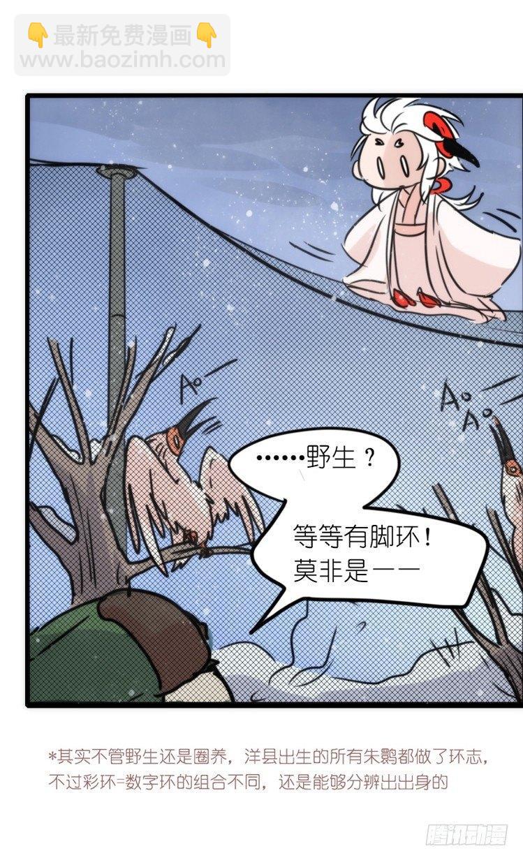 使命篇22：重振绯羽④-第146话