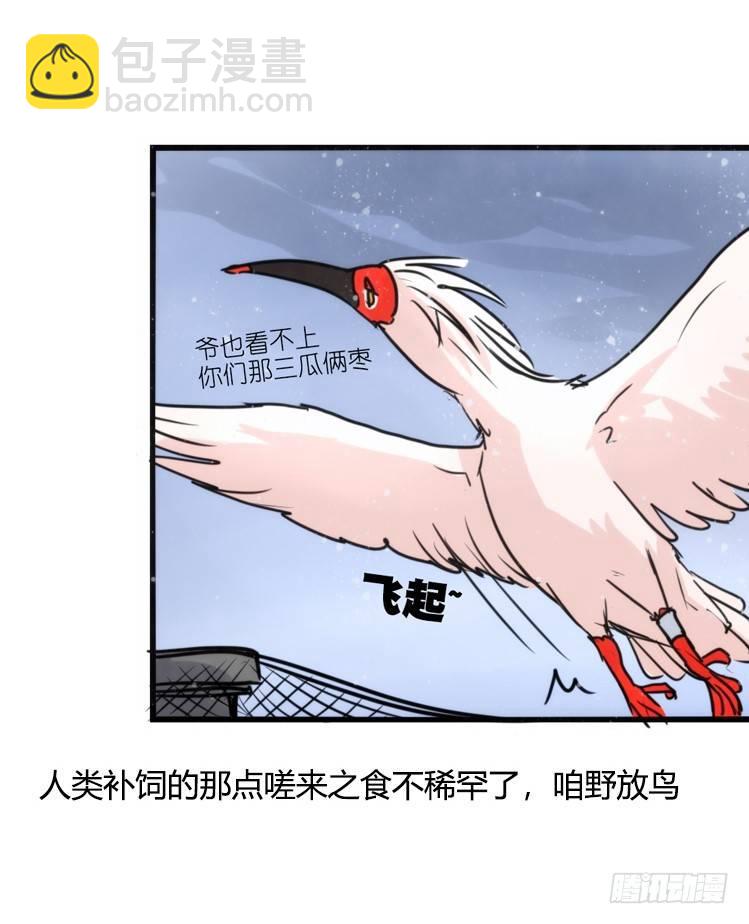 使命篇22：重振绯羽④-第146话