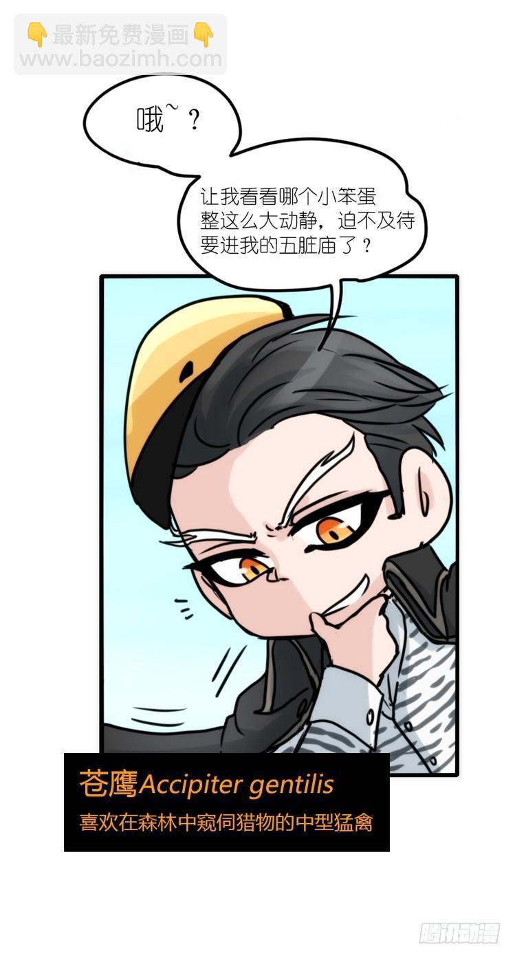 使命篇24：重振绯羽⑥-第148话