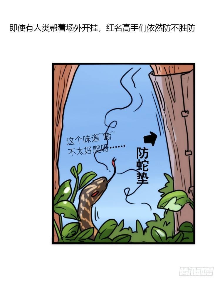 使命篇24：重振绯羽⑥-第148话