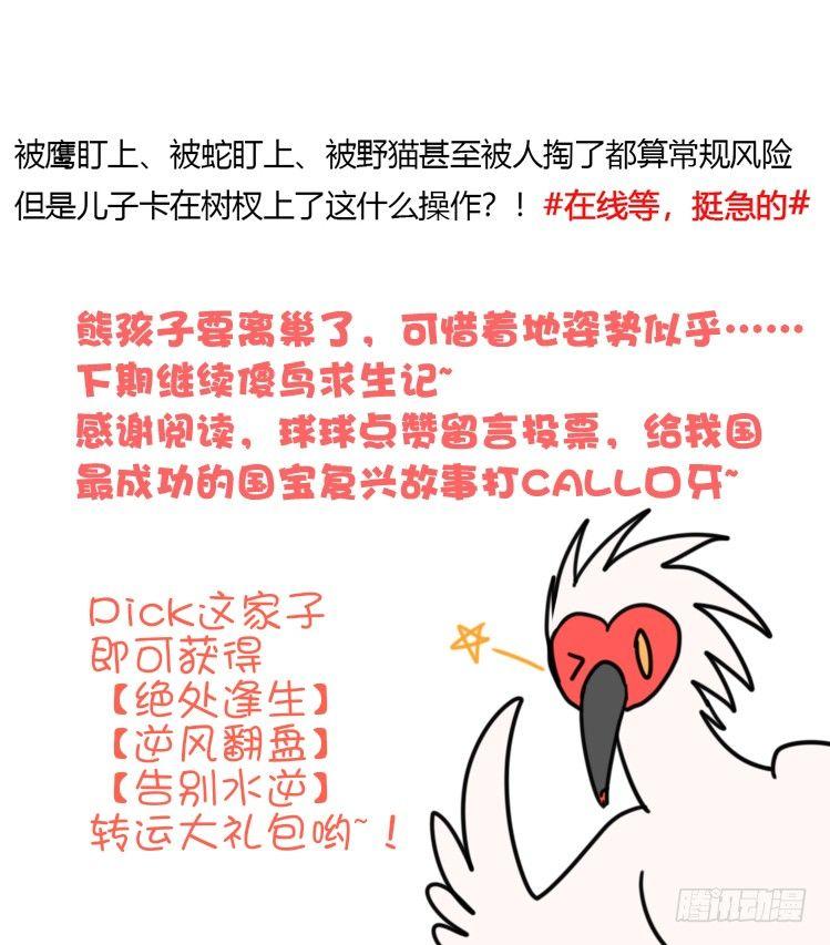 使命篇24：重振绯羽⑥-第148话