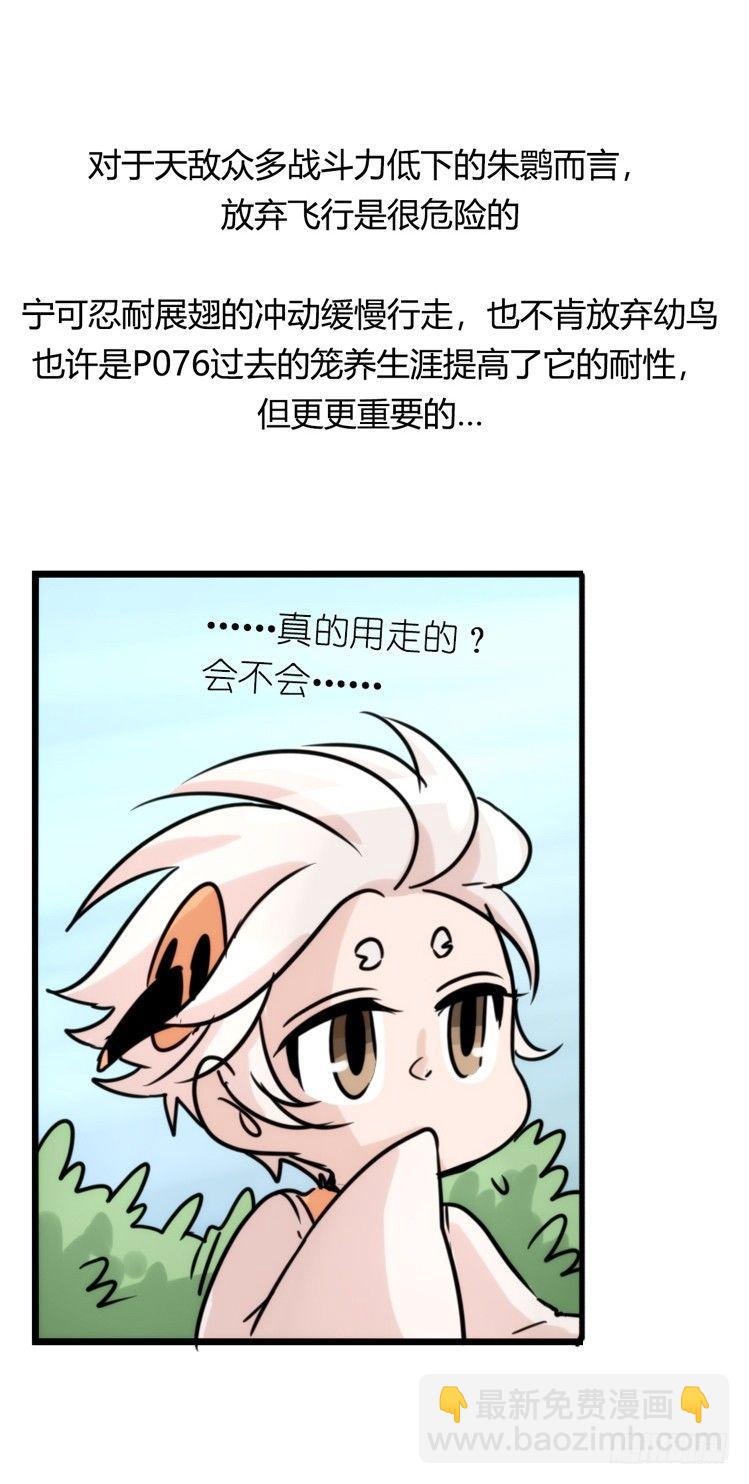 使命篇26：重振绯羽⑧鸟团圆-第150话