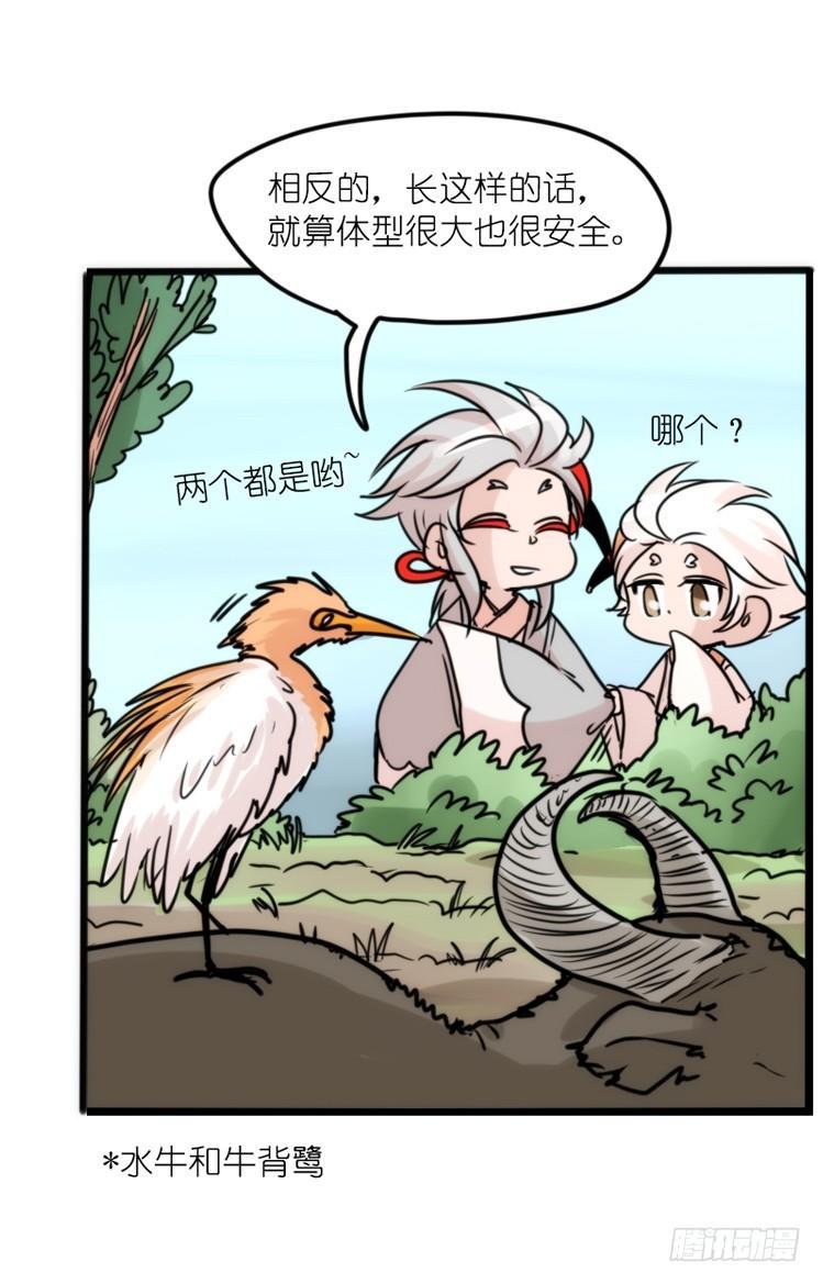 使命篇26：重振绯羽⑧鸟团圆-第150话