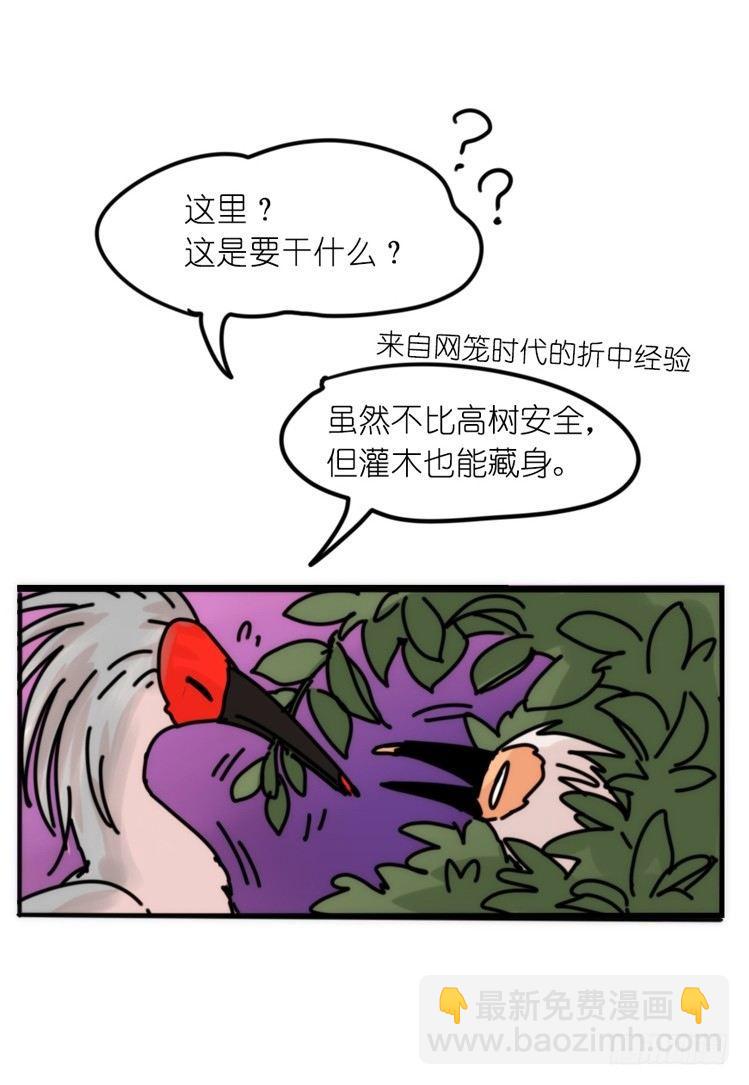 使命篇26：重振绯羽⑧鸟团圆-第150话