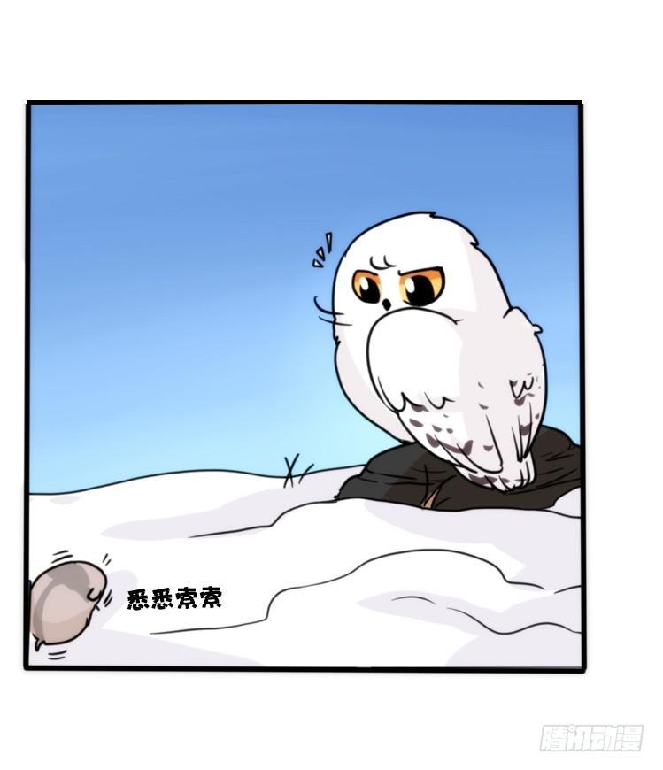 飞吧小少爷：超凶的！-第16话