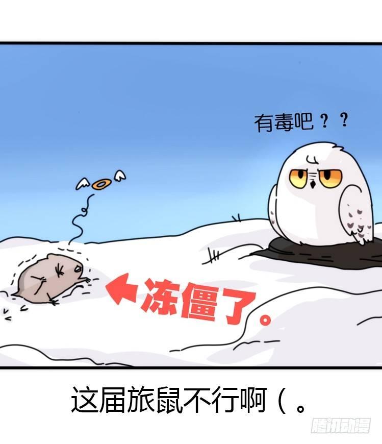 飞吧小少爷：超凶的！-第16话