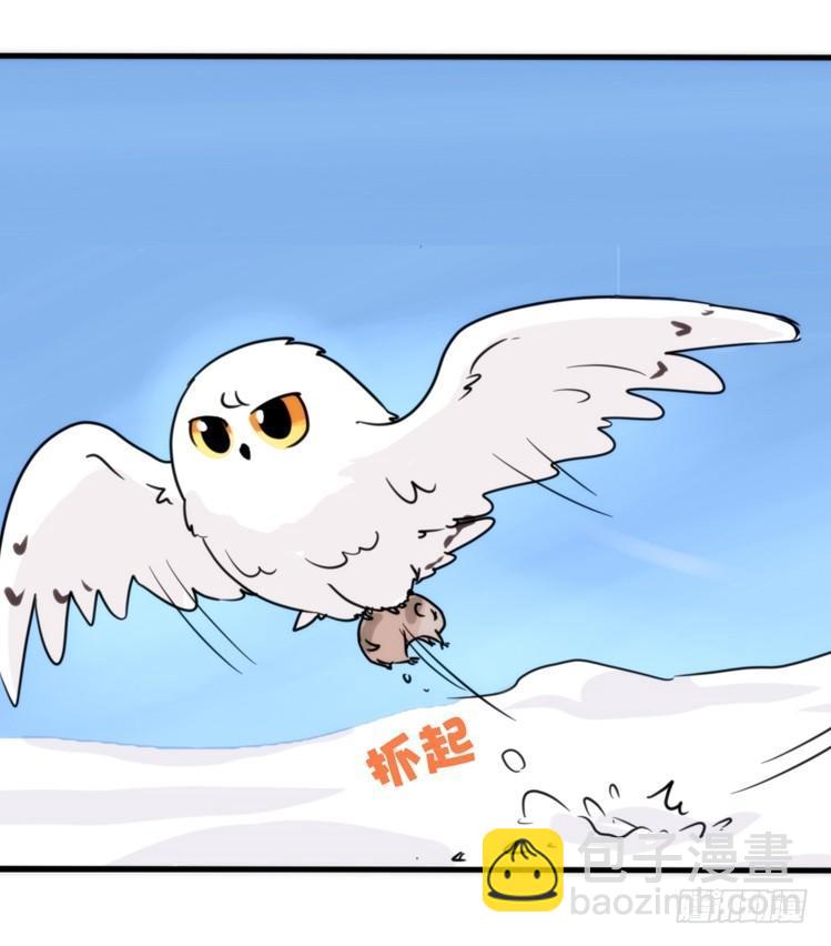 飞吧小少爷：超凶的！-第16话
