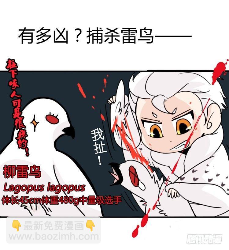 飞吧小少爷：超凶的！-第16话