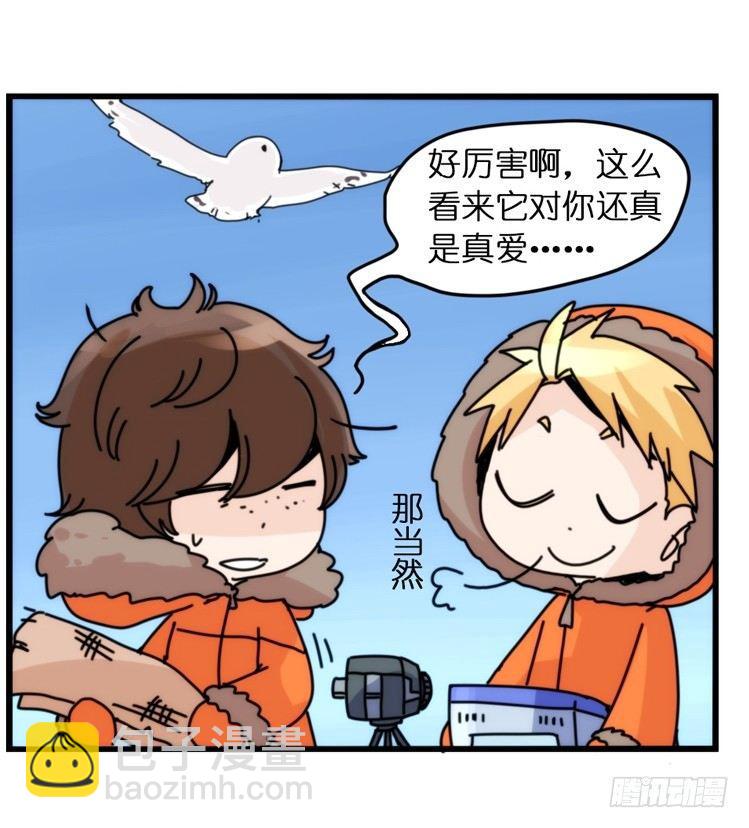 飞吧小少爷：超凶的！-第16话