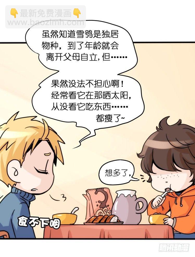 飞吧小少爷：超凶的！-第16话
