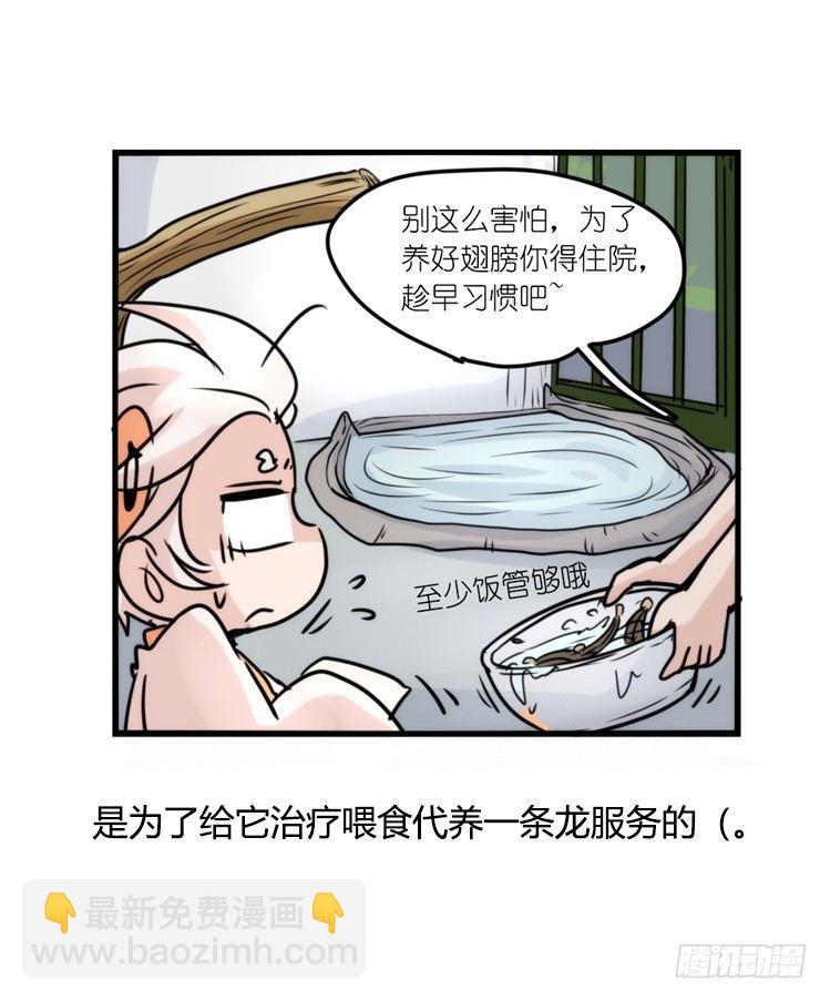 使命篇28：重振绯羽-10-第152话
