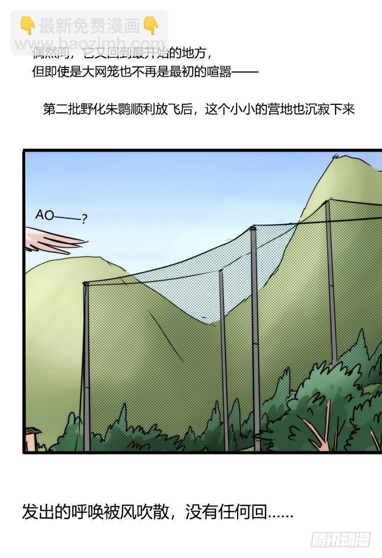 使命篇28：重振绯羽-10-第152话