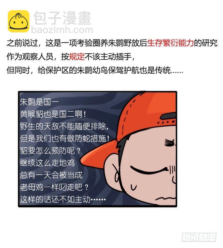 使命篇28：重振绯羽-10-第152话