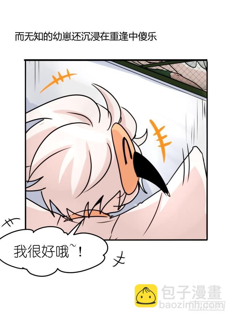 使命篇28：重振绯羽-10-第152话