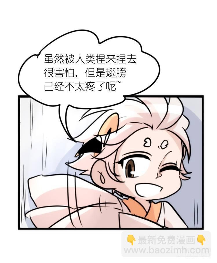 使命篇28：重振绯羽-10-第152话