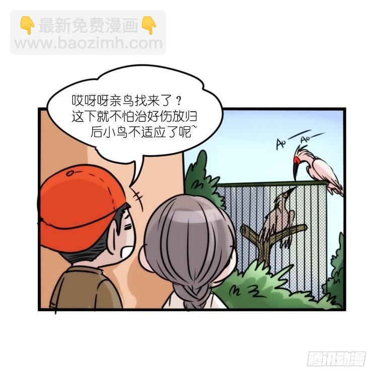 使命篇28：重振绯羽-10-第152话