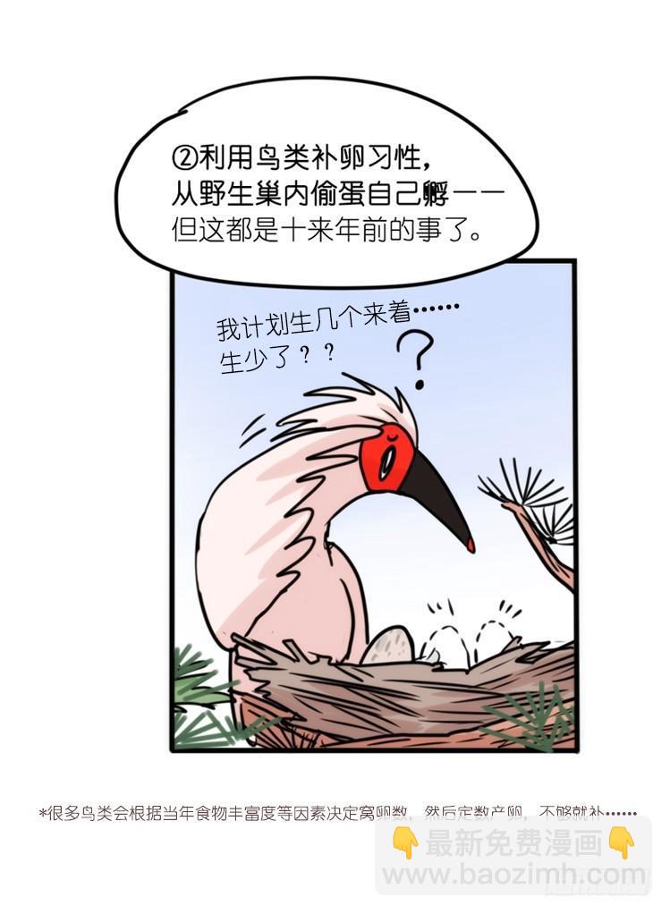 使命篇28：重振绯羽-10-第152话