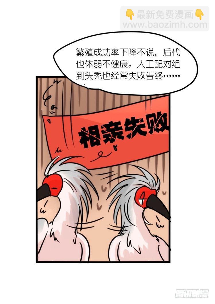 使命篇28：重振绯羽-10-第152话