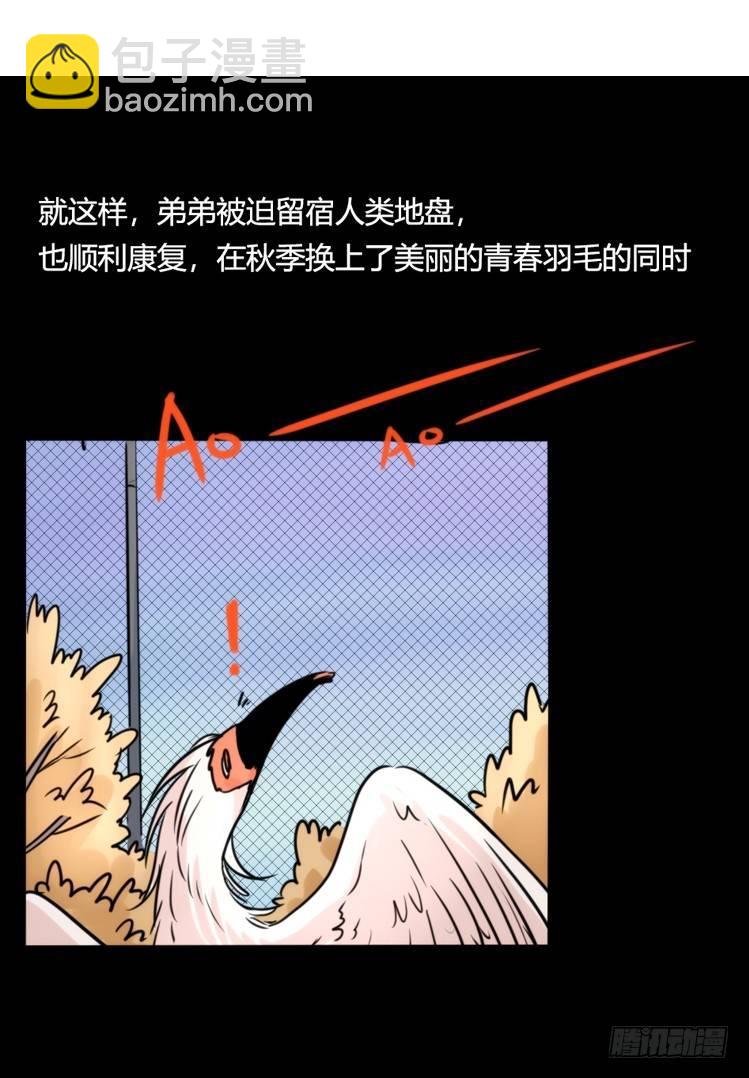 使命篇28：重振绯羽-10-第152话
