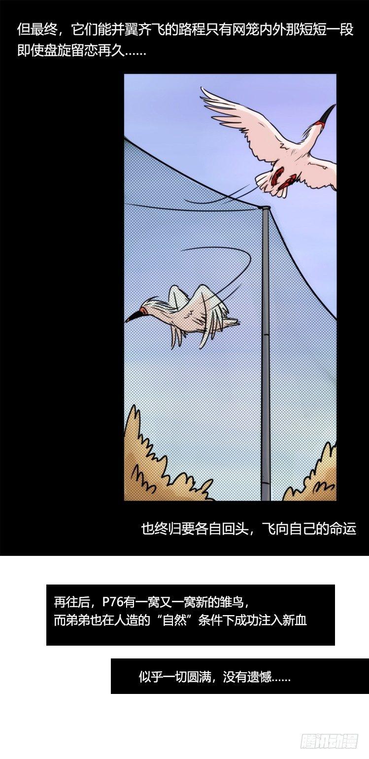 使命篇28：重振绯羽-10-第152话