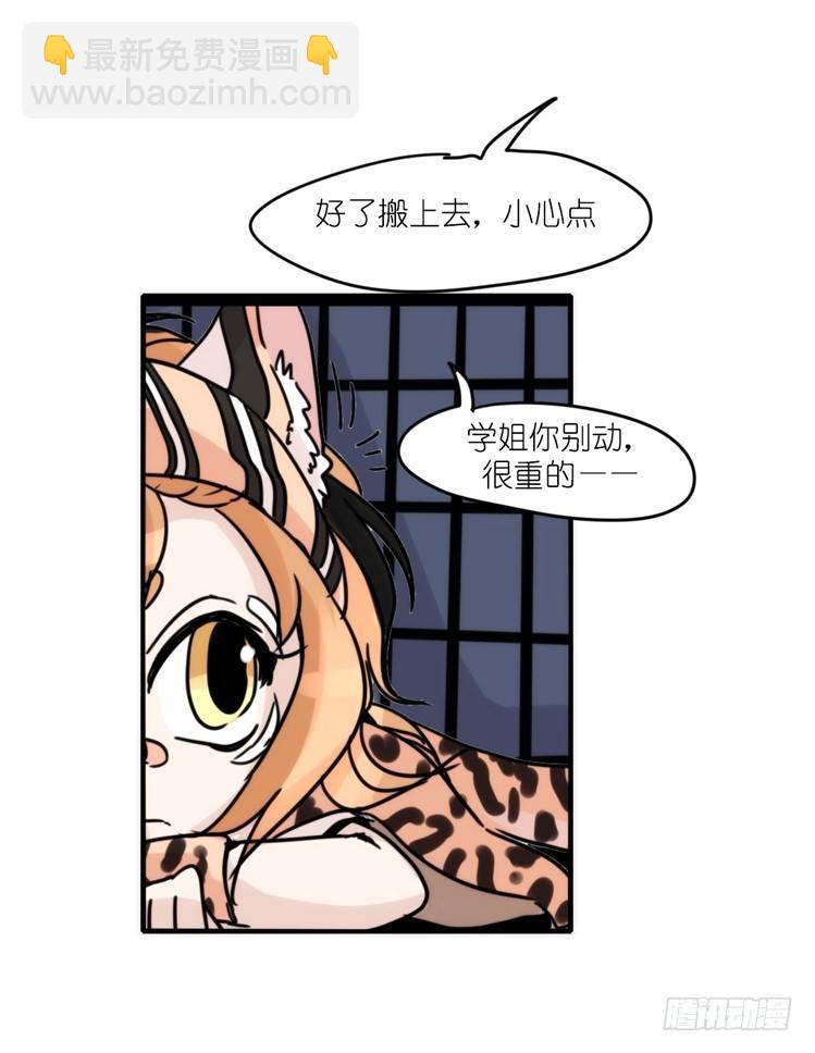 使命篇32：何去何从-第156话