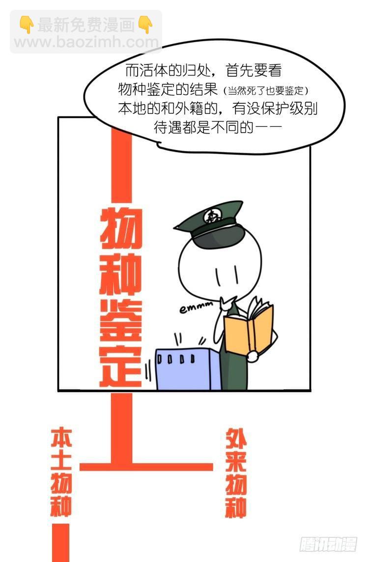 使命篇32：何去何从-第156话