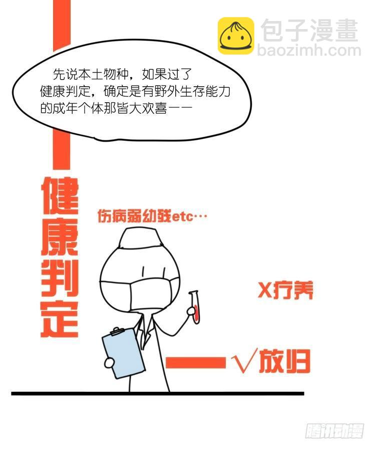 使命篇32：何去何从-第156话