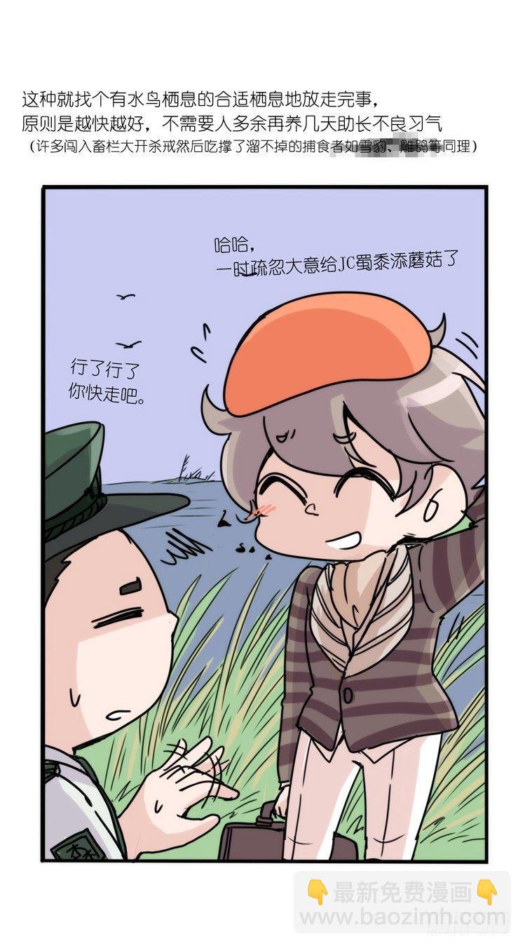 使命篇32：何去何从-第156话
