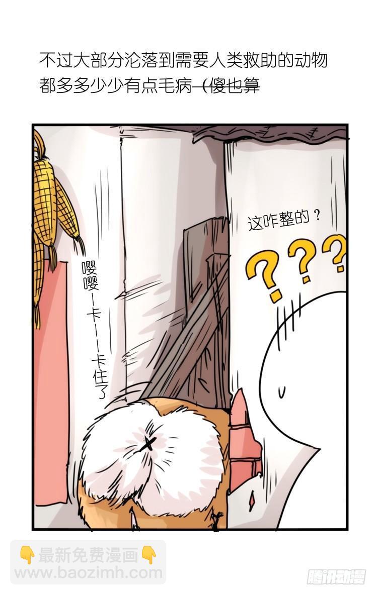 使命篇32：何去何从-第156话