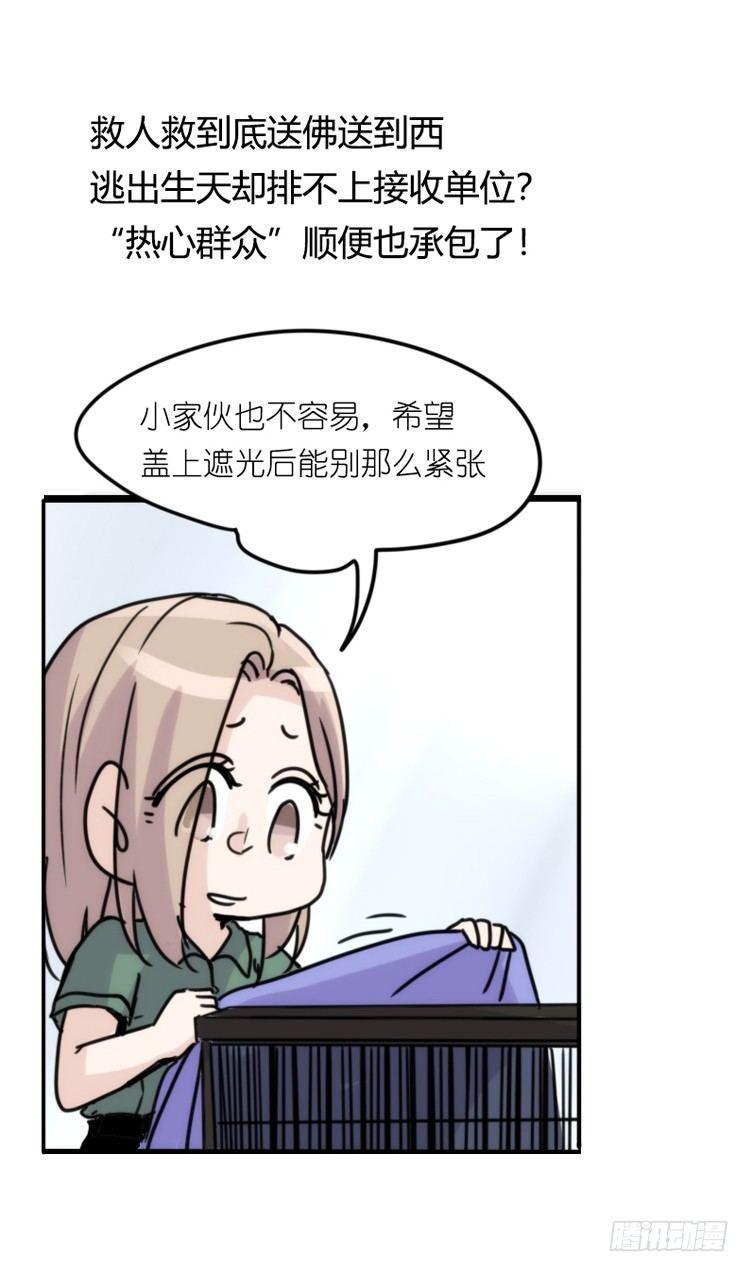 使命篇32：何去何从-第156话