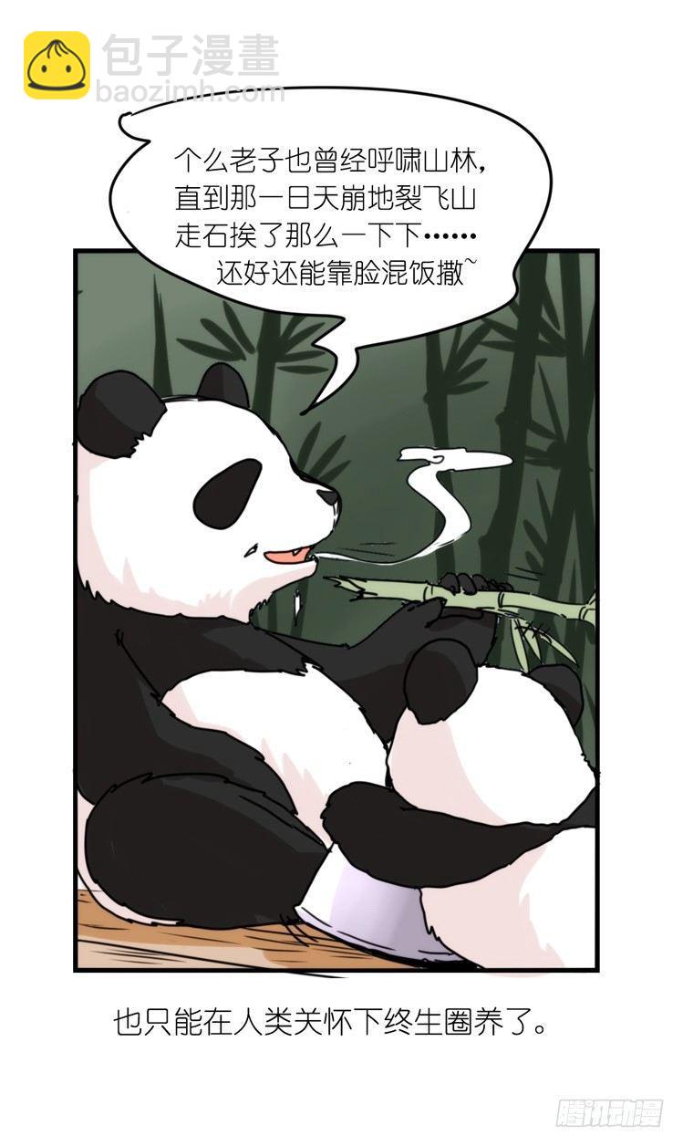 使命篇32：何去何从-第156话