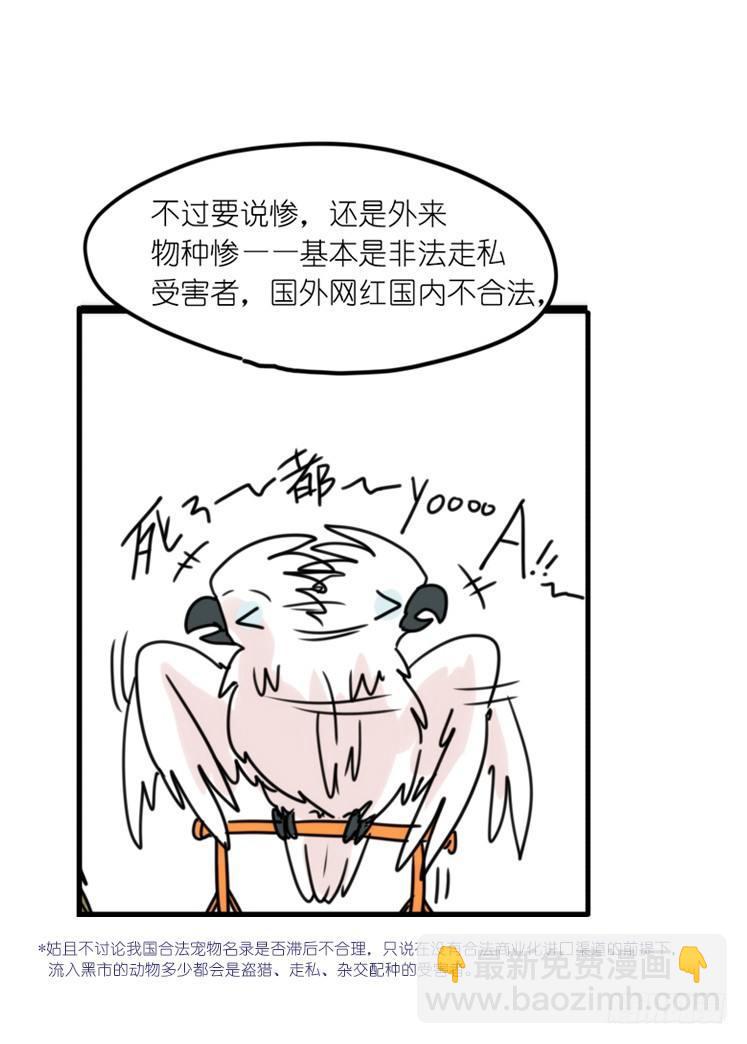 使命篇32：何去何从-第156话