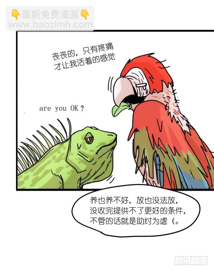 使命篇32：何去何从-第156话
