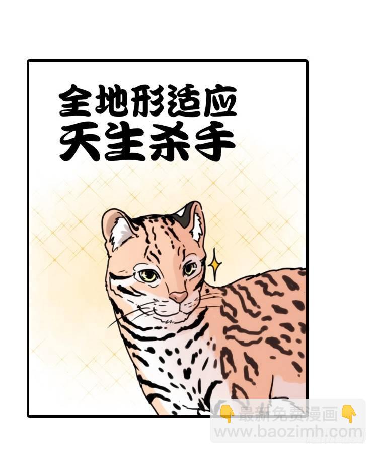 使命篇32：何去何从-第156话