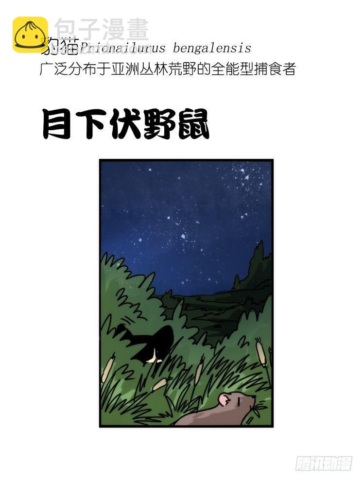使命篇32：何去何从-第156话