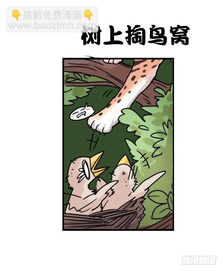使命篇32：何去何从-第156话
